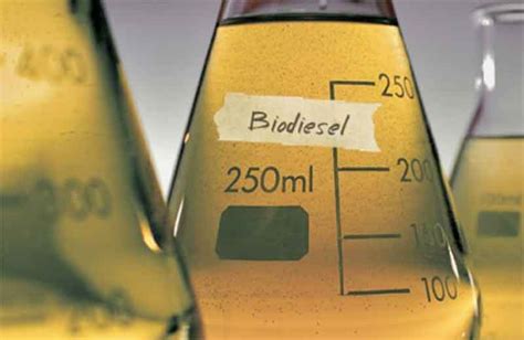 Alasan Kenapa Biodiesel Merupakan Sumber Energi Alternatif Yang Ramah