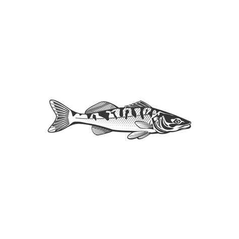 Premium Vector Mackerel Fish Vector Icon Saltwater Creature