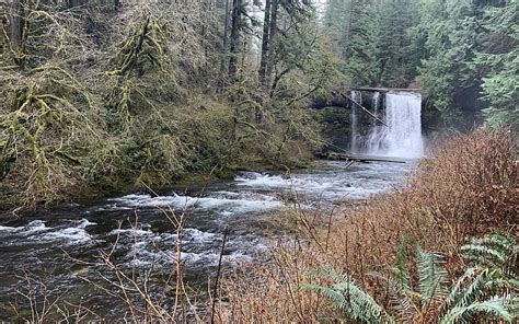 Silver Falls State Park Salem Oregon Creek Usa Trees Plants Water Hd Wallpaper Peakpx