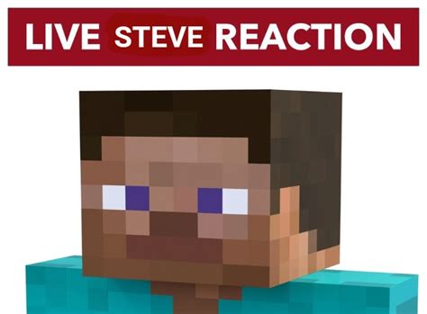 Live Steve Reaction Blank Template Imgflip