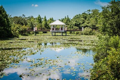 Florida Botanical Garden Cyndy Mcatee Photography Florida Botanical