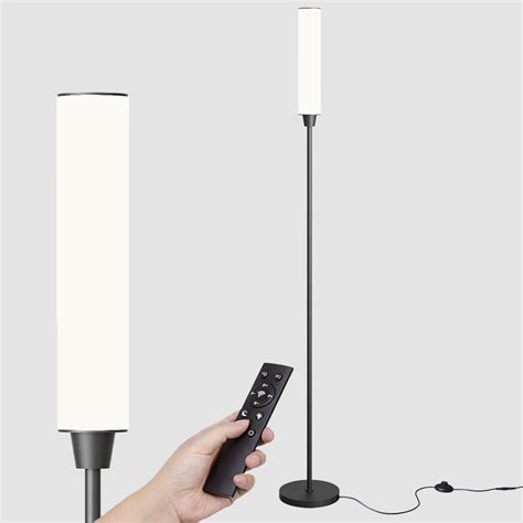 Floor Lamp with Remote Control,Floor Lamps for Living Room/Bedroom ...