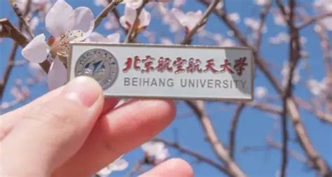 北航教授吐槽学生废了，985高校成高级蓝翔，学生眼中只有利益北航学生蓝翔新浪新闻