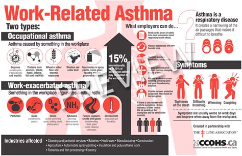 Understanding And Managing Occupational Asthma In The Workplace