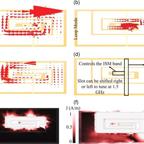 Corresponding Specific Absorption Rate Sar G Distribution Of The