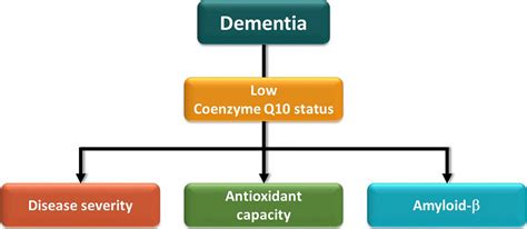 Frontiers Investigation Of Coenzyme Q10 Status Serum Amyloid β And Tau Protein In Patients