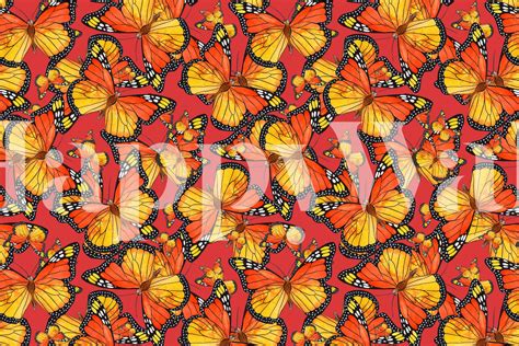 Buy Monarch Butterflies 7 Wallpaper Online | Happywall