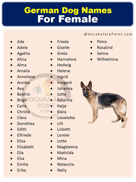 350+ Most Popular German Dog Names - Vocabulary Point