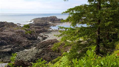 Pacific Rim National Park Reserve in Ucluelet, British Columbia | Expedia.ca