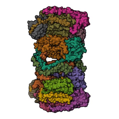 Rcsb Pdb Hcr Cryo Em Structure Of The Mycobacterium Tuberculosis