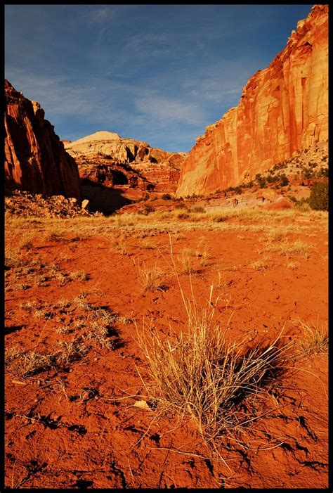 Capitol Gorge Capitol Reef National Park Gumpher Adam Christensen