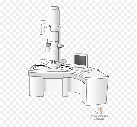 Scanning Electron Microscope Drawing