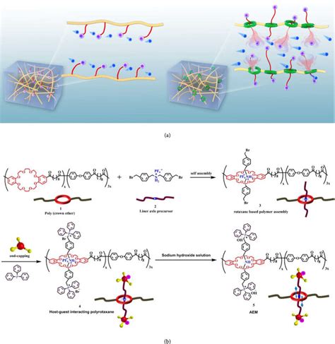 A Schematic Illustration Of Polymer Structure And Ion Conduction