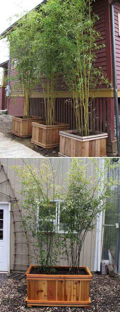 Top 21 Easy and Attractive DIY Projects Using Bamboo - Amazing DIY, Interior & Home Design