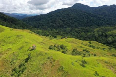 6 Fakta Taman Nasional Kayan Mentarang