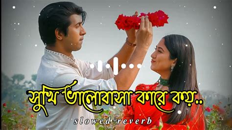 sokhi valobasha kare koy সখ ভলবস কর কয Romantic Lofi