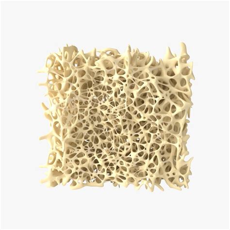 3d Porous Models Turbosquid