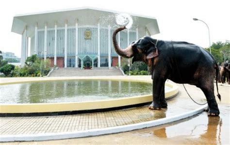 Bandaranaike Memorial International Conference Hall, Colombo | Ticket ...