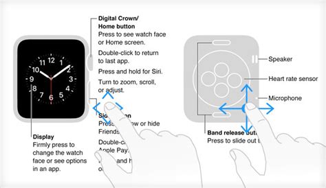 Usar Los Botones Y La Pantalla Del Apple Watch Soporte T Cnico De Apple