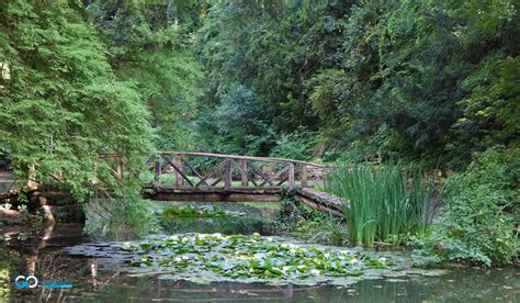 Parcul Dendrologic De La Simeria Go Hunedoara