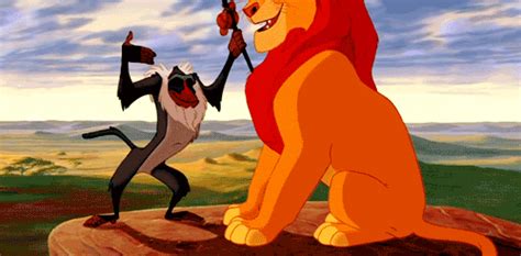 Rafiki Hugged Simba Very Tight GIFDB