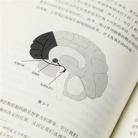 贪婪的多巴胺丹尼尔利伯曼等著脑科学家大卫伊格曼新世代独立图书奖讲述多巴胺如何影响人的情绪行为和习惯凤凰新华书店旗舰店 虎窝淘