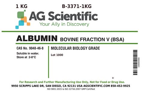 B Kg Bovine Serum Albumin Fraction V Kg