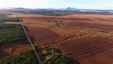 Bord Na M Na Reinforces Bog Rehabilitation Programme Free