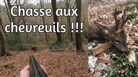 Chasse Aux Chevreuils Youtube