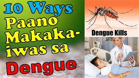 Mga Paraan Para Maka Iwas Sa Dengue Youtube