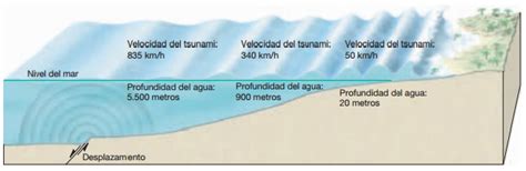 ¿qué Es Un Tsunami