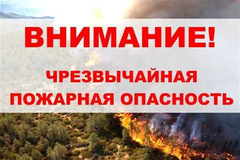 В ближайшие дни сохранится чрезвычайная пожарная опасность - Лента ...