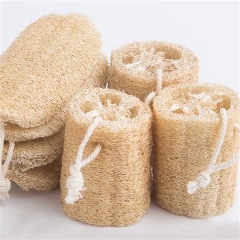 All Natural Loofah Sponges Kitchen Dish Sponge Exfoliating Etsy