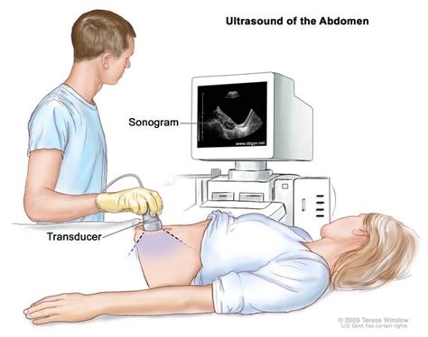 Definition Of Transabdominal Ultrasound Nci Dictionary Of Cancer Terms Nci