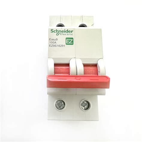 Isolators Schneider Electric Easy9 Ez9s16291 100a 100 Amp 2 Double