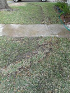 Tree Root Barrier Installation Katy, Sugar Land, Houston & Fulshear ...