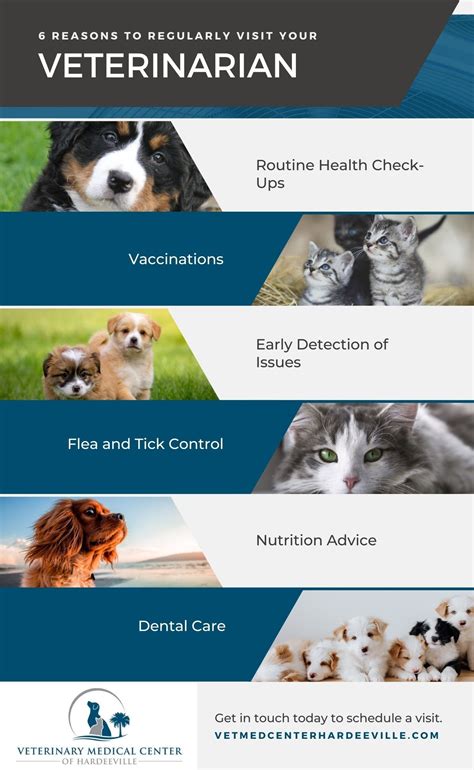 Why Is Preventative Care Important For Pets? - Veterinary Medical