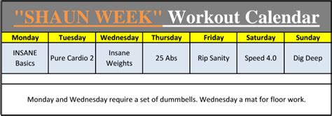 Introducing Shaun Week Insane Focus A Day Total Body Workout From