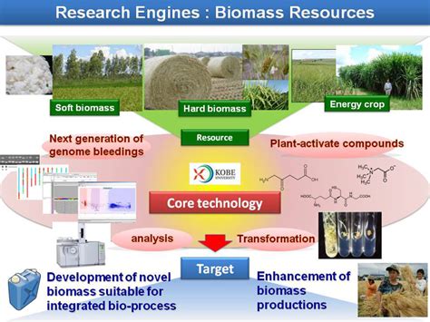 Biomass Resources Research Innovative Bioproduction Kobe Ibiok