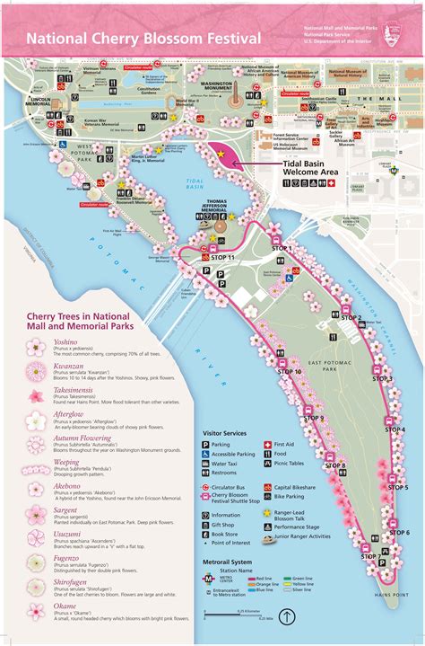 Cherry Blossom Parade Route Map