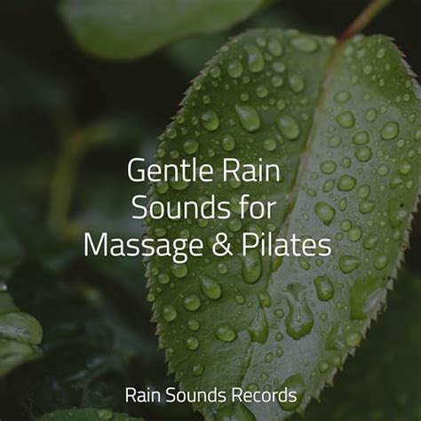 Gentle Rain Sounds For Massage Pilates By Yoga Sounds Nature Sound