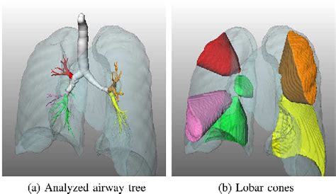 Figure From Automatic Segmentation Of The Pulmonary Lobes From Chest