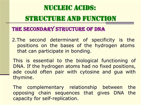 Ppt Nucleic Acids Structure And Function Powerpoint Presentation Free Download Id460439