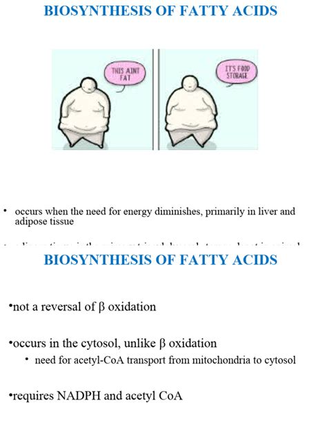 Lipid Metabolism Lecture 3 Notes_Fatty Acid Biosynthesis_2024 | PDF