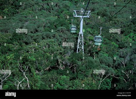 Australia Queensland Cairns Rain Forest Cable Car Stock Photo Alamy