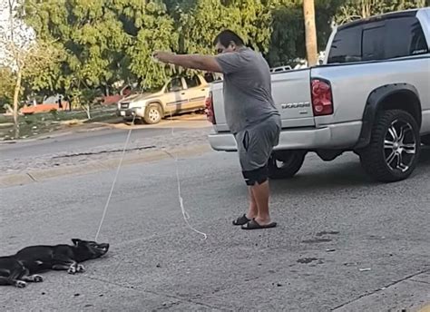 Hombre Amarra A Su Perro A Una Camioneta Y Lo Arrastra Por Las Calles