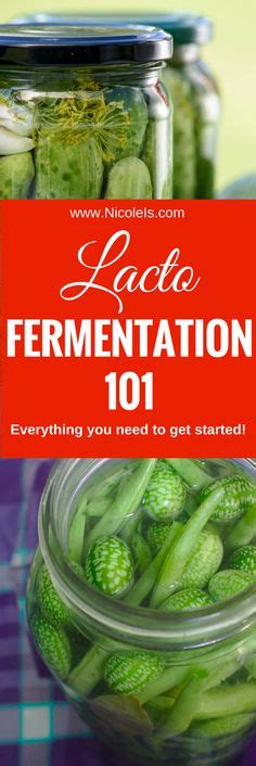 37 Fermented Foods Ideas Fermented Foods Fermentation Recipes