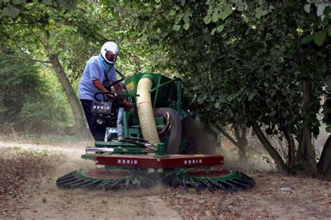 Nocciolo Accordi Di Filiera Anche In Umbria E Piemonte Terra E Vita