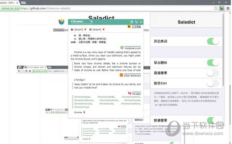 沙拉查词插件saladict查词插件 V5317 免费版下载当下软件园