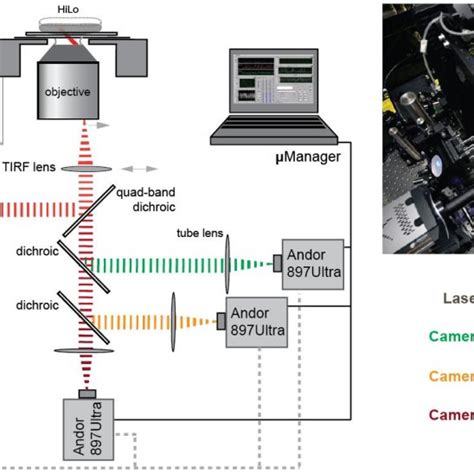 diagram  image   optical path    color microscope